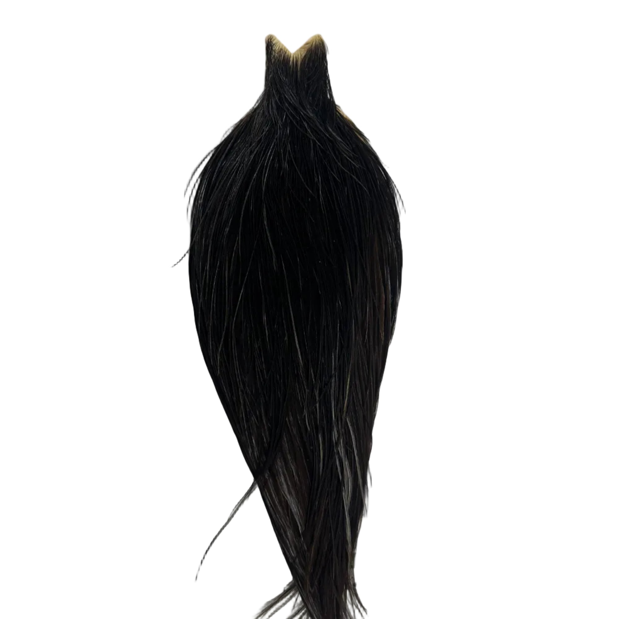 Whiting Hebert Miner Dry Fly Cape - Bronze Grade, Dark Brown Dun, NZ Australia