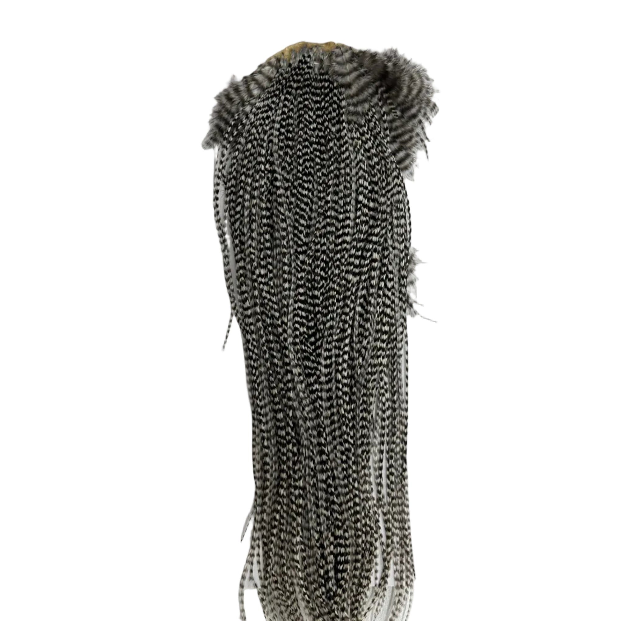 Whiting Hebert Miner dry Fly Saddle - Bronze Grade, Grizzly, NZ, Australia