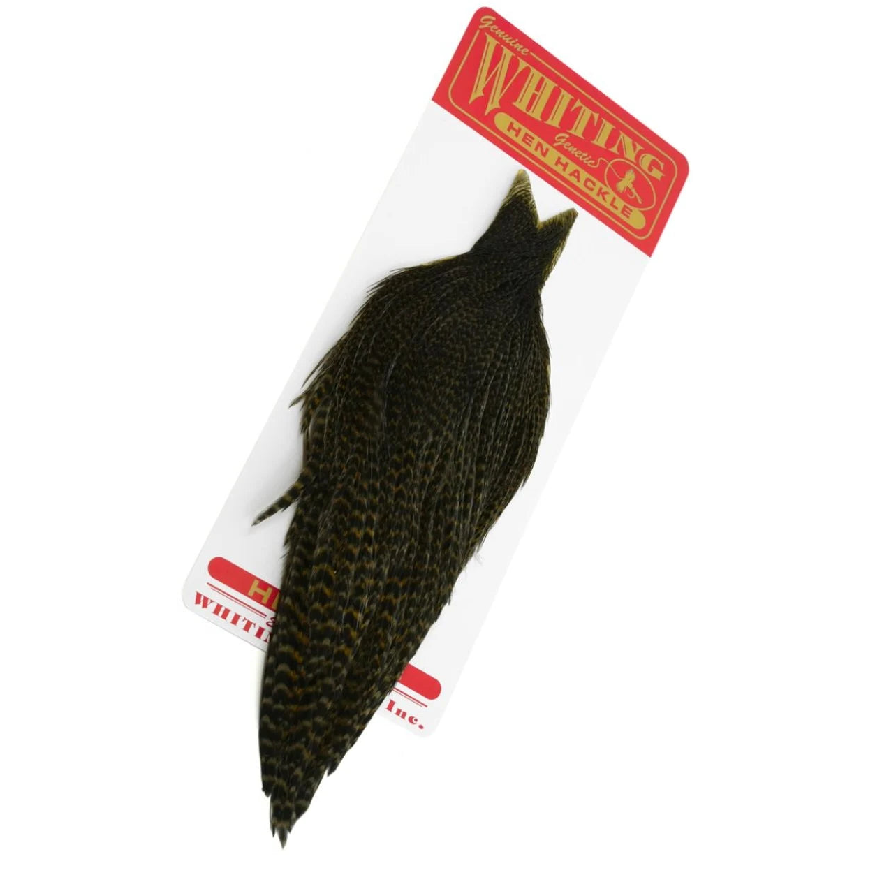 Whiting Hen Hackle Cape Grizzly Dyed Dark Olive Australia NZ