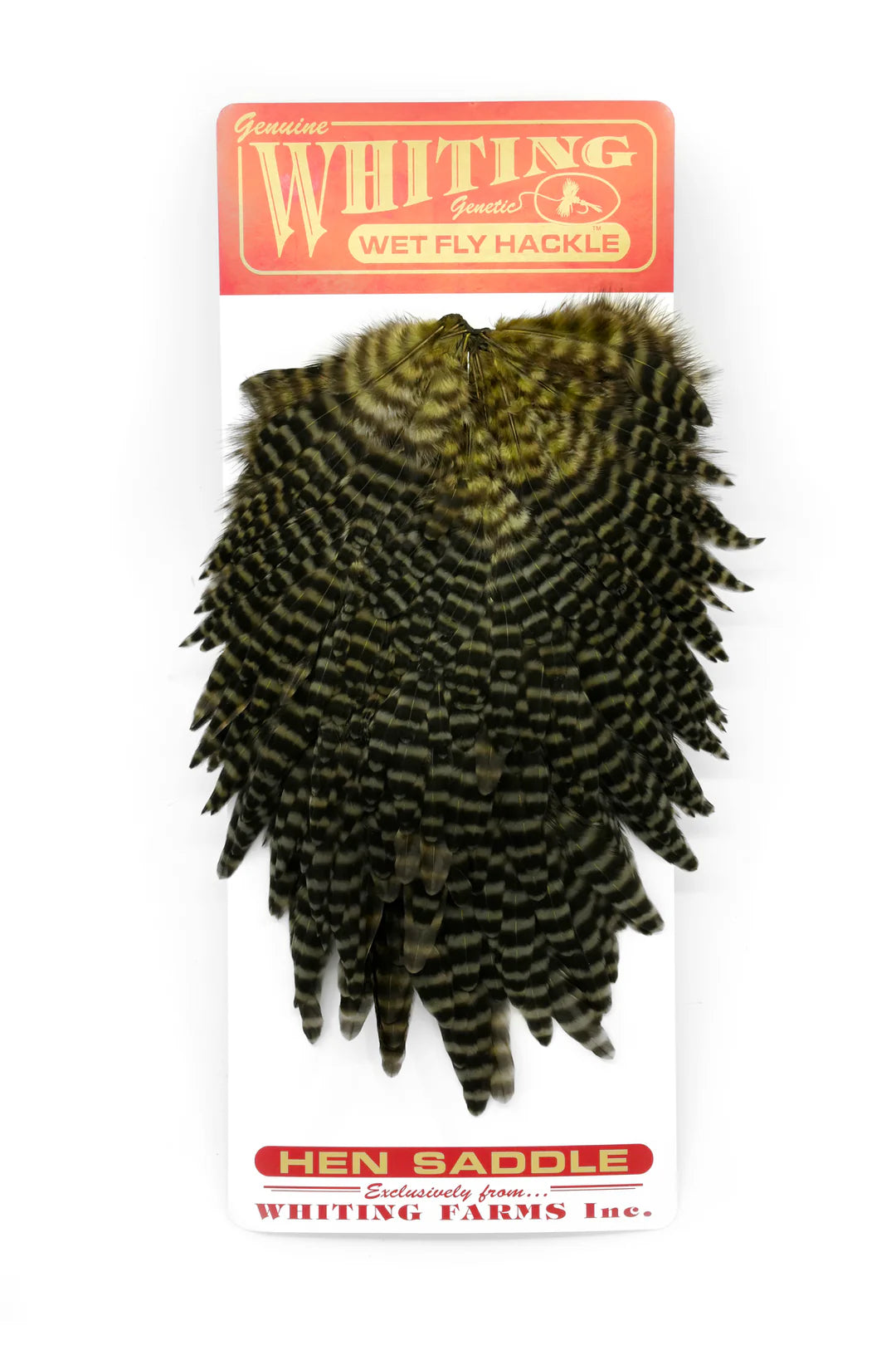 Whiting Hen Saddle Grizzly Dyed Dark Olive Australia NZ