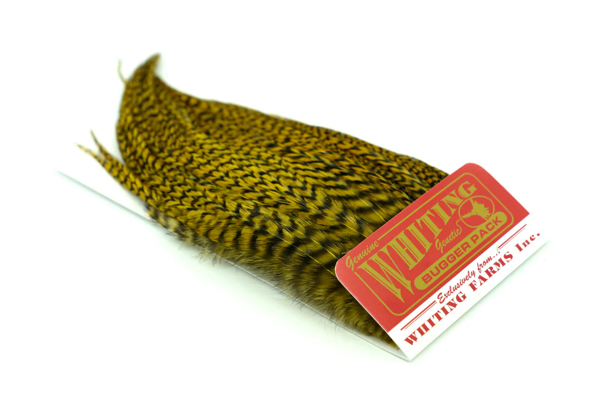 Whiting Bugger Pack Australia, New Zealand