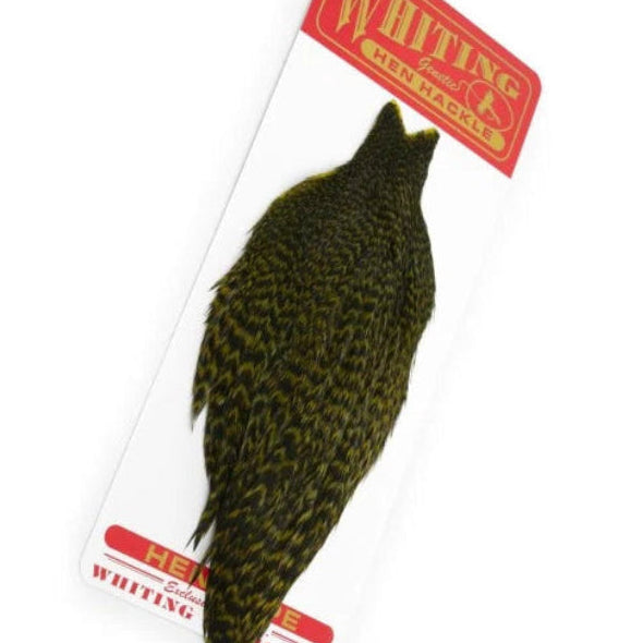 Whiting Hen Hackle Grizzly Olive