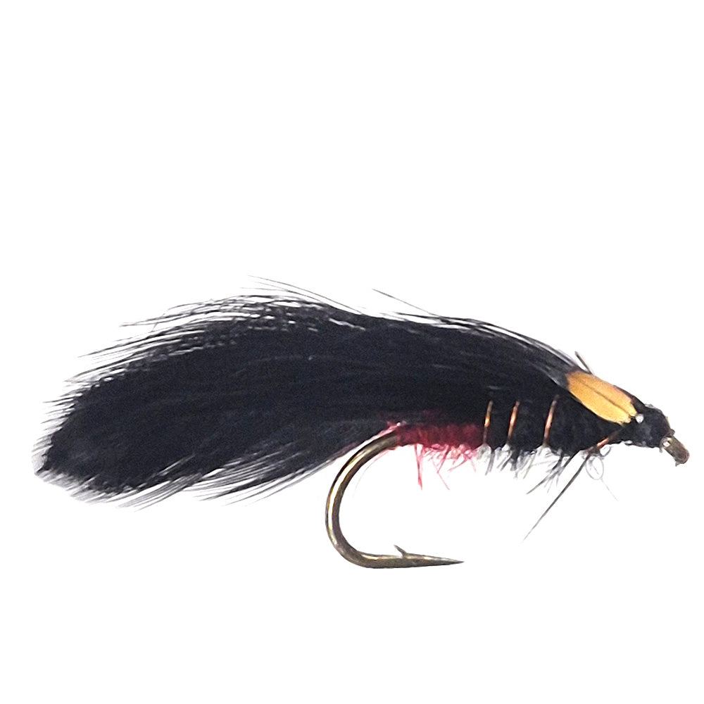 Wigram's Robin x 6
