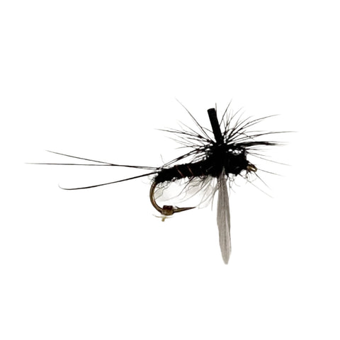 Fly Fishing Dry Fly Best Australia Black Spent Spinner Guide New Zealand Tasmania