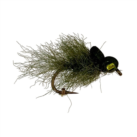 FLy Fishing Olive Eye Brush Mudeye Best Pattern Australia New Zealand Tasmania
