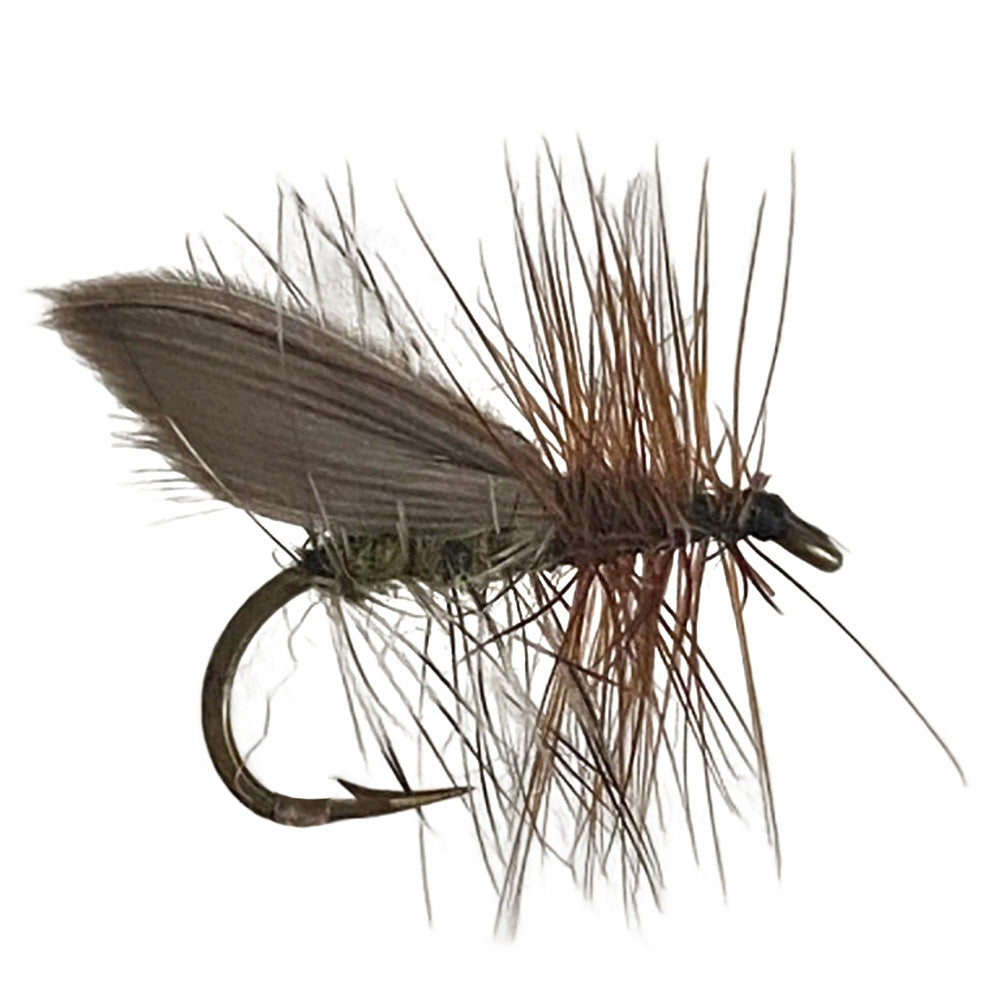 Henryville Caddis Special x 6