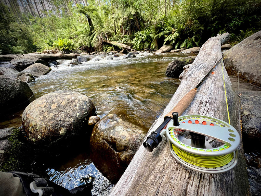 Fly Fishing Reels – essential Flyfisher