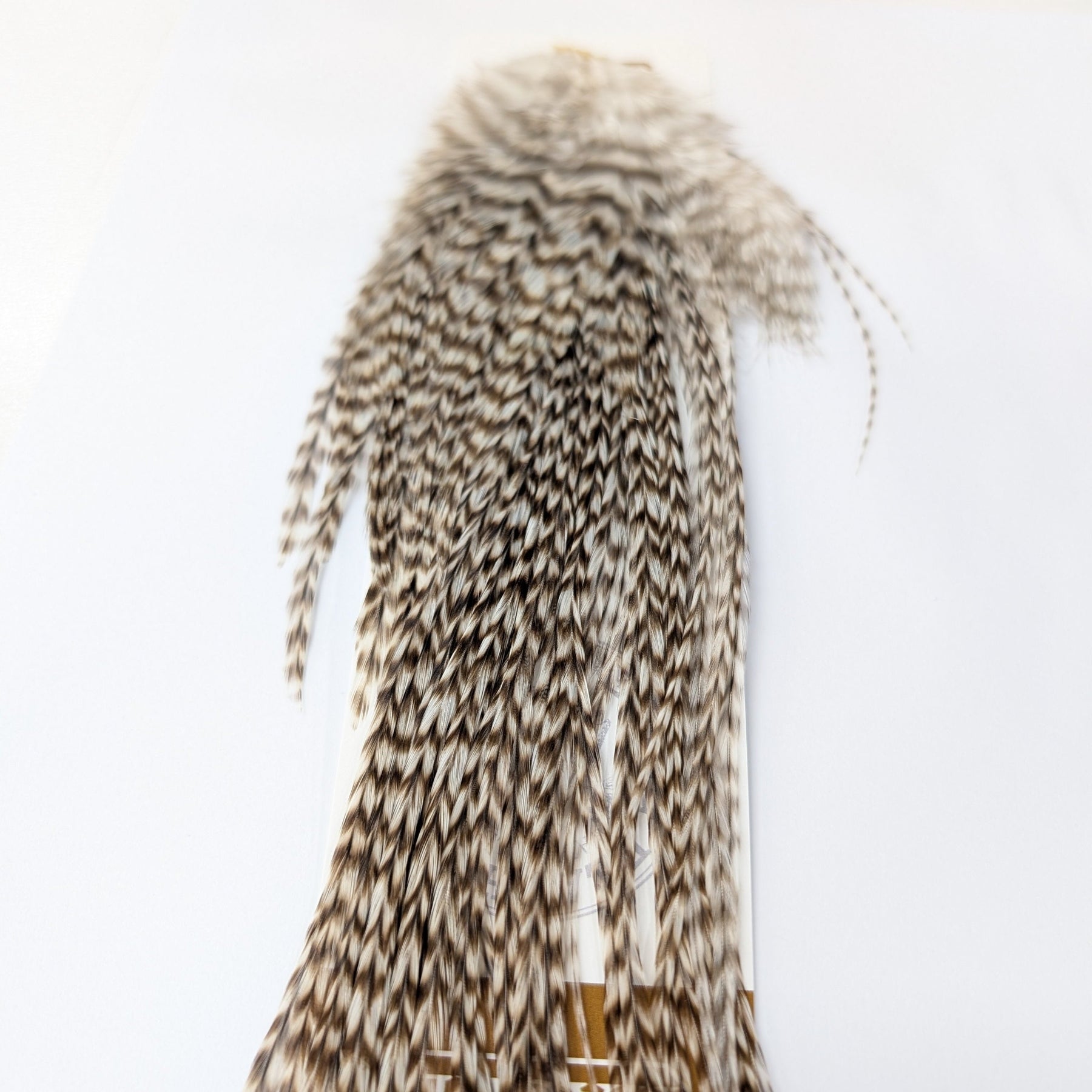 Ewing Hackle Dry Fly Feathers Grizzly Saddle Hackle Australia NZ