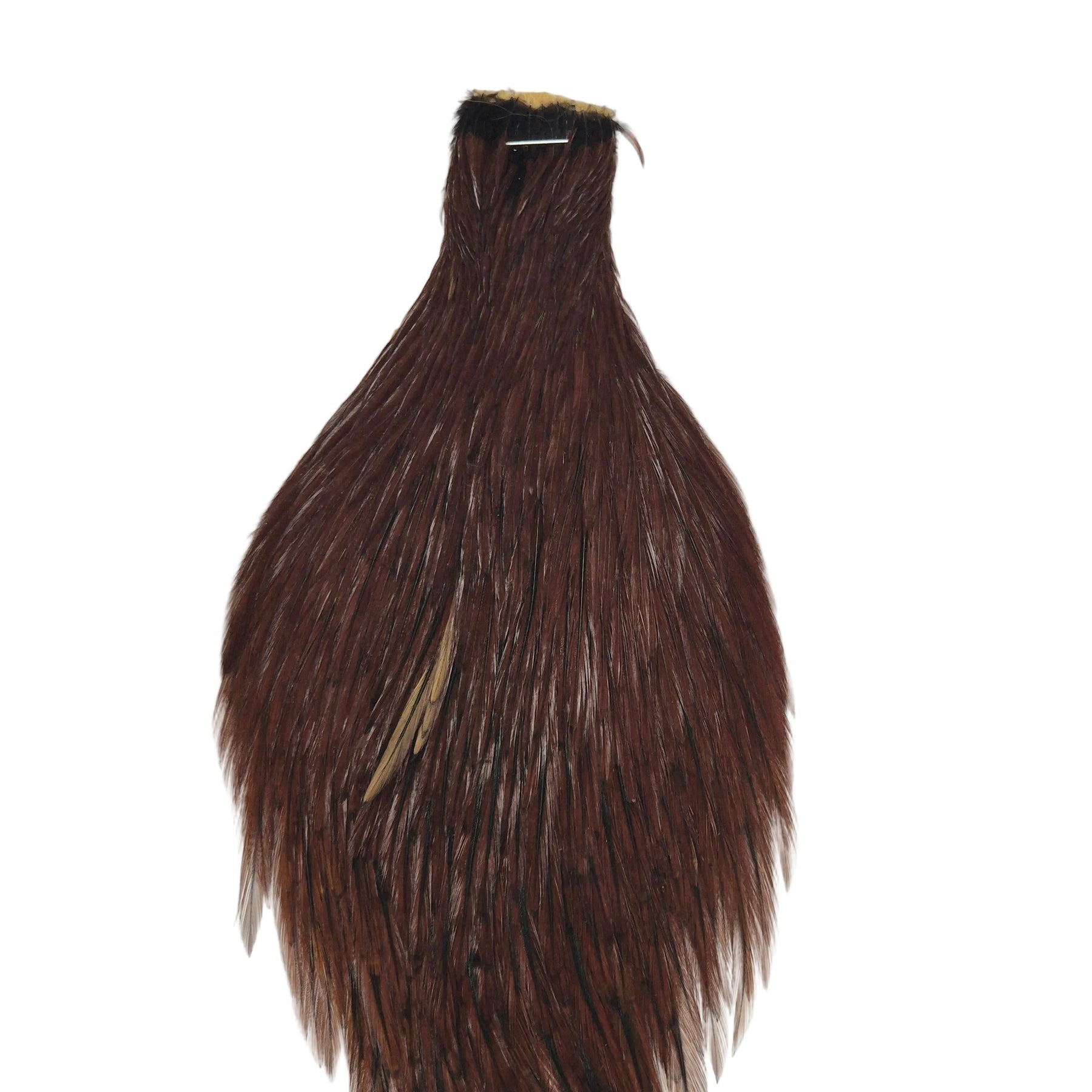 Coachman neck hackle Australia NZ