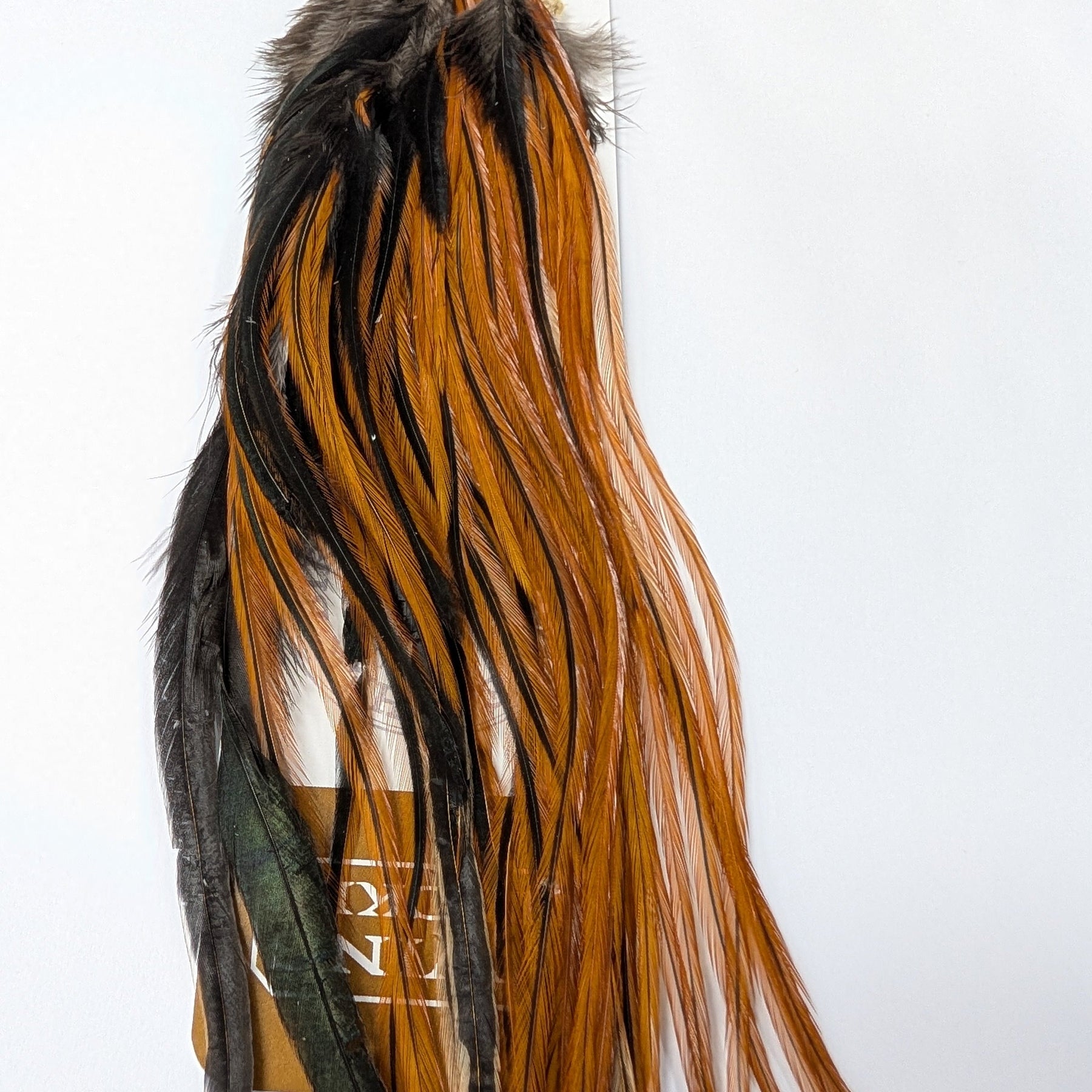 Ewing Hackle Dry Fly Feathers Giger Saddle Hackle Australia NZ