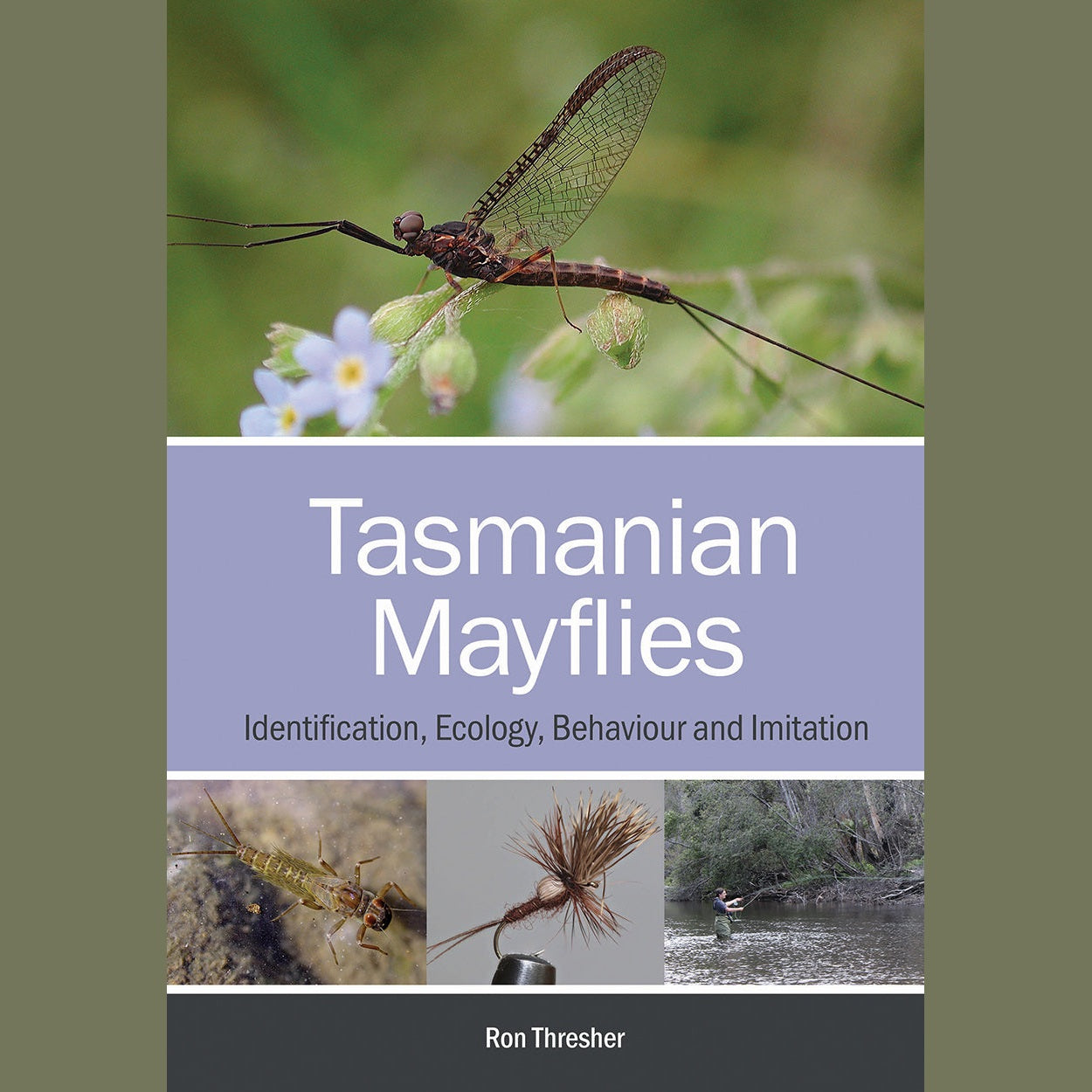 Tasmanian Mayflies Ron Thresher Australia NZ