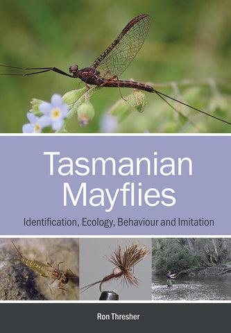 Tasmanian Mayflies Ron Thresher Australia NZ