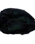 Ringneck Pheasant Skin