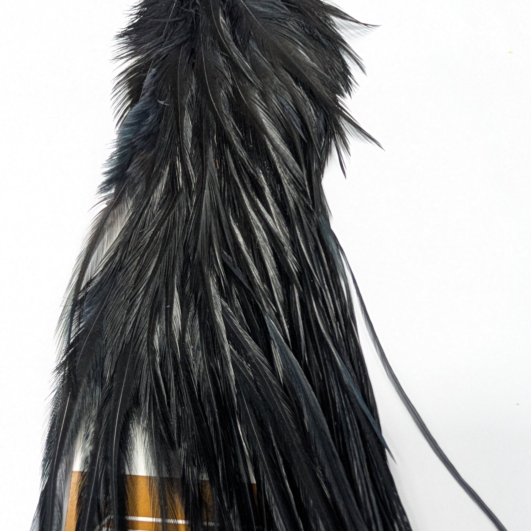 Ewing Hackle Dry Fly Feathers Black Saddle Hackle Australia NZ