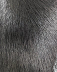 Wapsi Premo Deer Hair Strip Blach Australia NZ