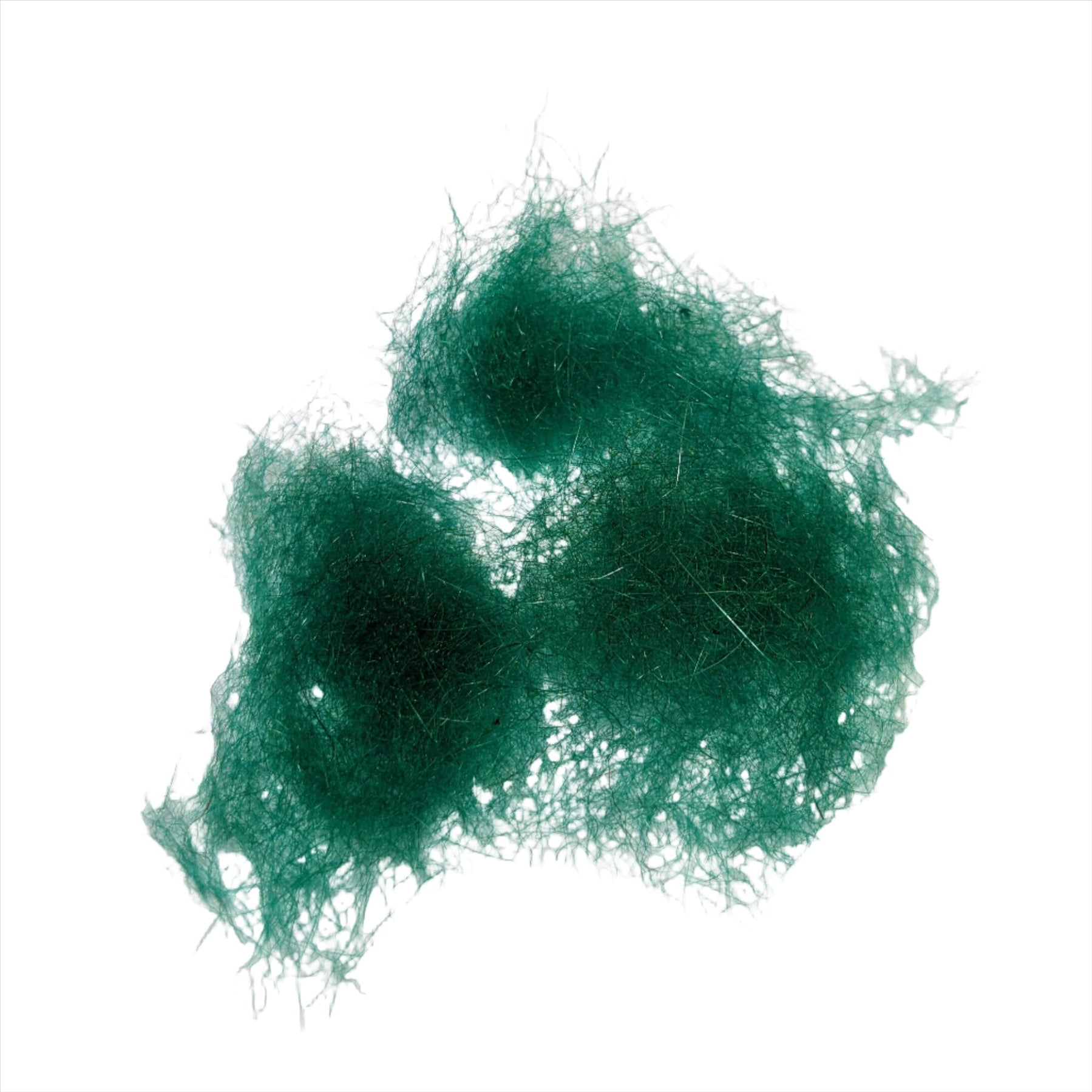 Seals Fur  Kelly Green Australia NZ