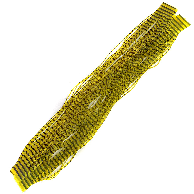 Sili Legs Barred Yellow Veniard Australia