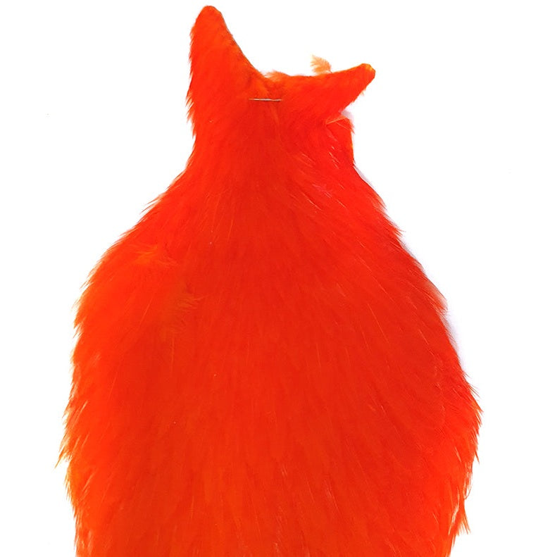 Whiting American Hen Cape Orange Australia