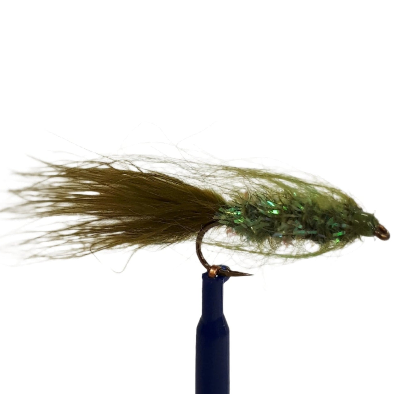 Fuzzle bugger olive, Tasmania, Australia