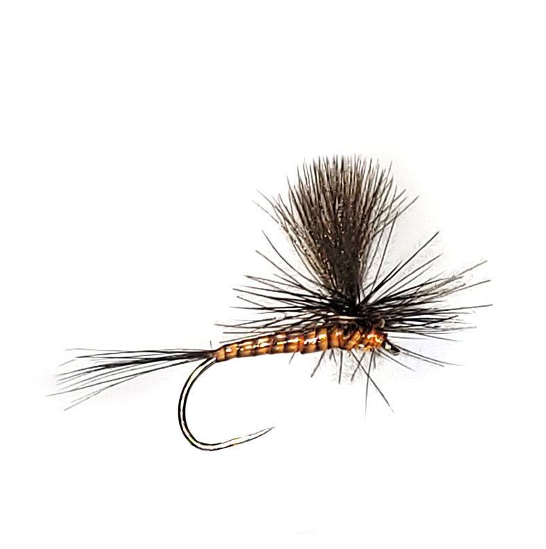 Para Cdc Quill Body Flies X 6 – essential Flyfisher