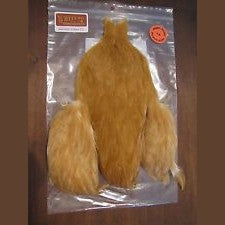 Whiting 4 B's Hen Cape Australia 