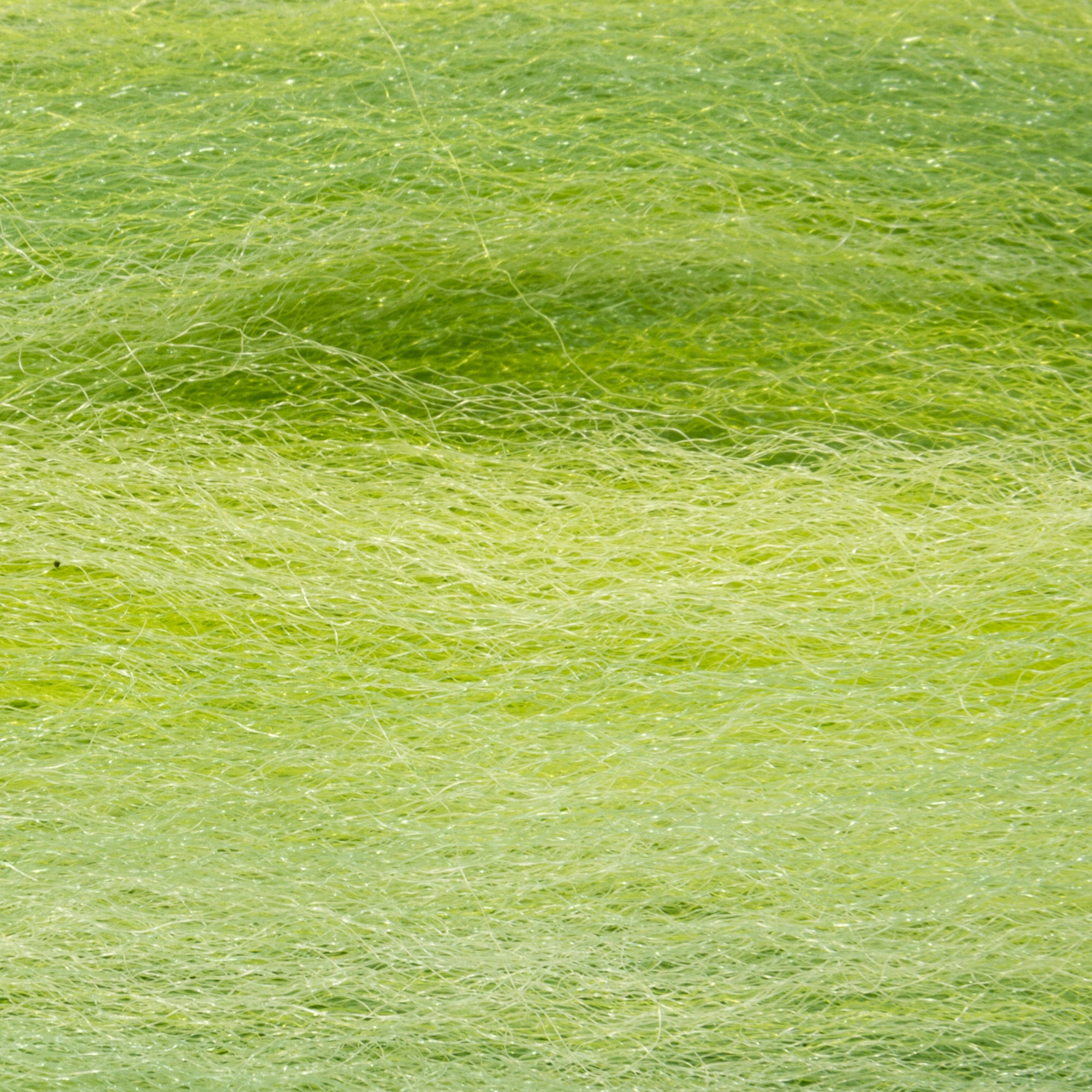 Semperfli PREDATOR FIBRE Australia NZ.