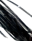 Saddle Black Australia