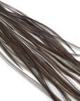 Saddle Brown Dun Australia