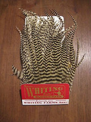 Whiting Bugger Hackle Pack Pack Australia 