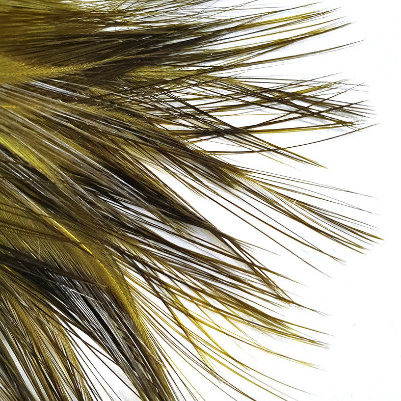 Coq-de-leon CDL Tailing Olive Australia