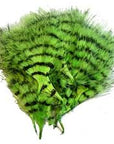 Marabou Barred - Veniard