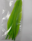 Duck Quill 2 Pair - Wapsi Australia 
