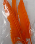 Duck Quill 2 Pair - Wapsi Australia 