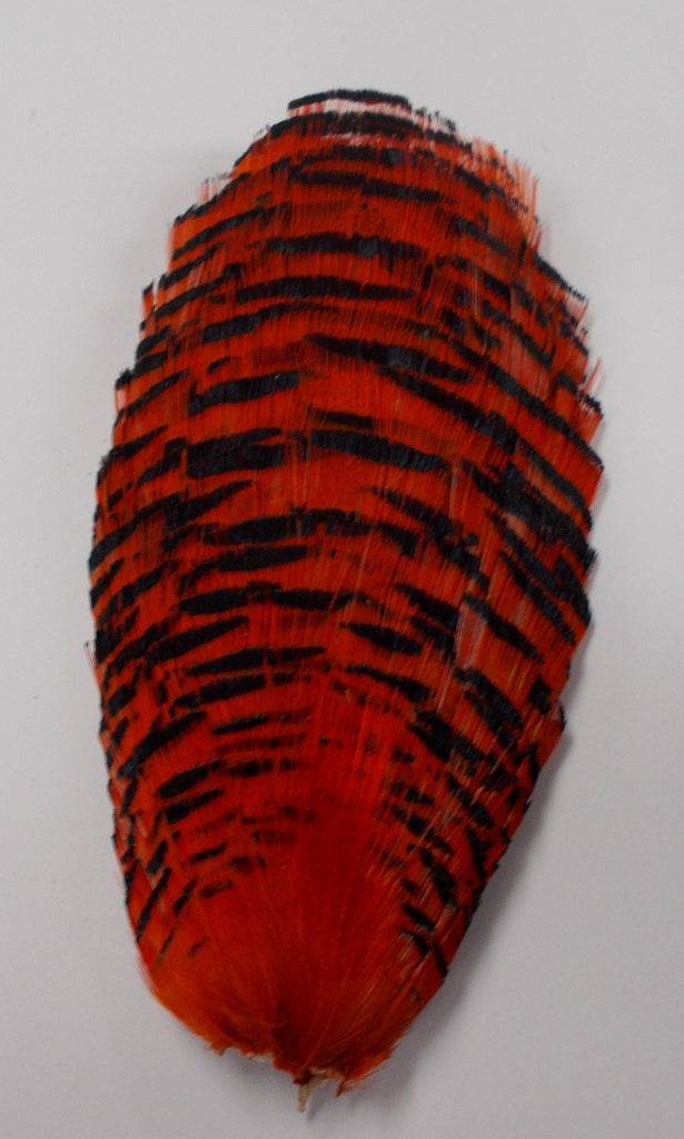 Golden Pheasant Tippet Section Wapsi Australia 