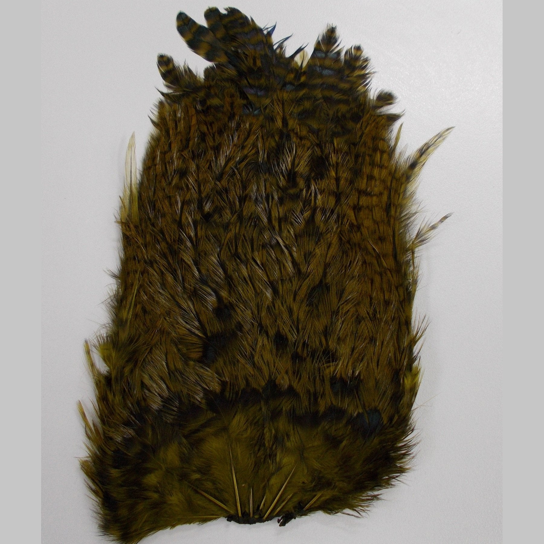 Indian Saddle Patch- Wapsi Australia 