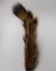 Squirrel Tail Natural Pine Australia