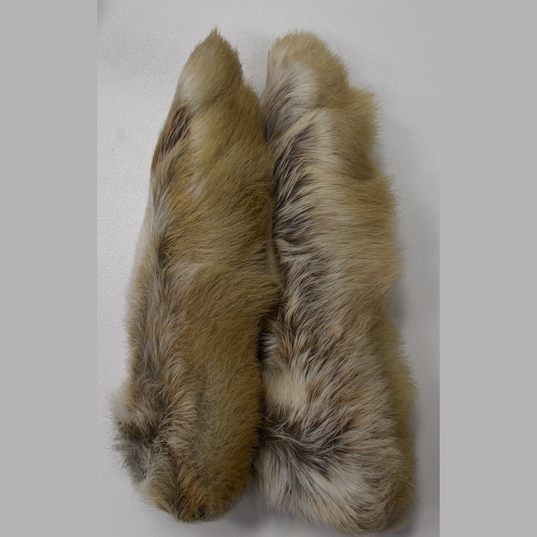 Snowshoe Rabbit Feet Natural White - Wapsi Australia