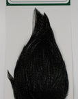 Ewing Hackle Deceiver Patch