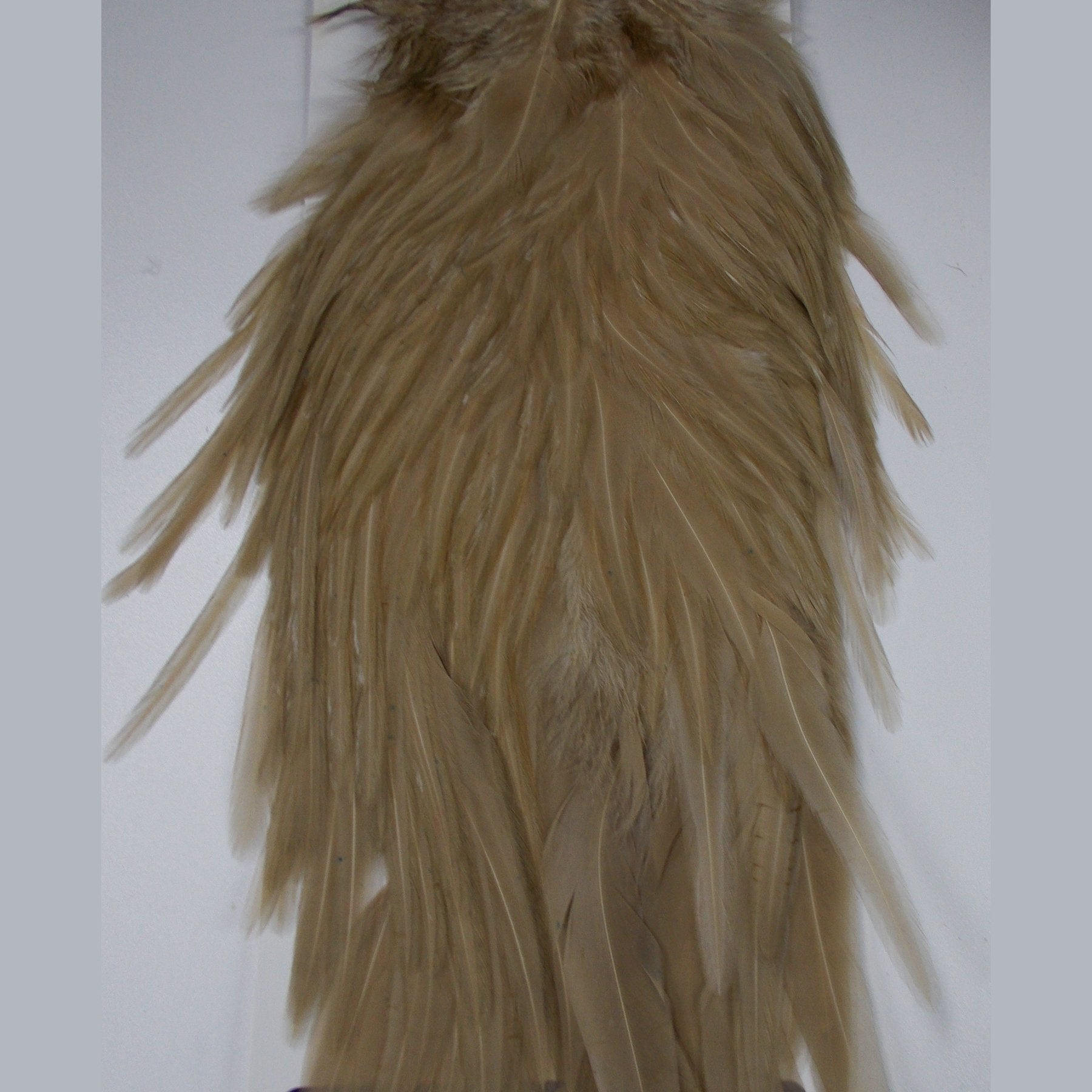 Whiting American Rooster Saddle Tan Australia 