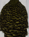 Whiting American Hen Hackle Cape Grizzly Olive Australia 