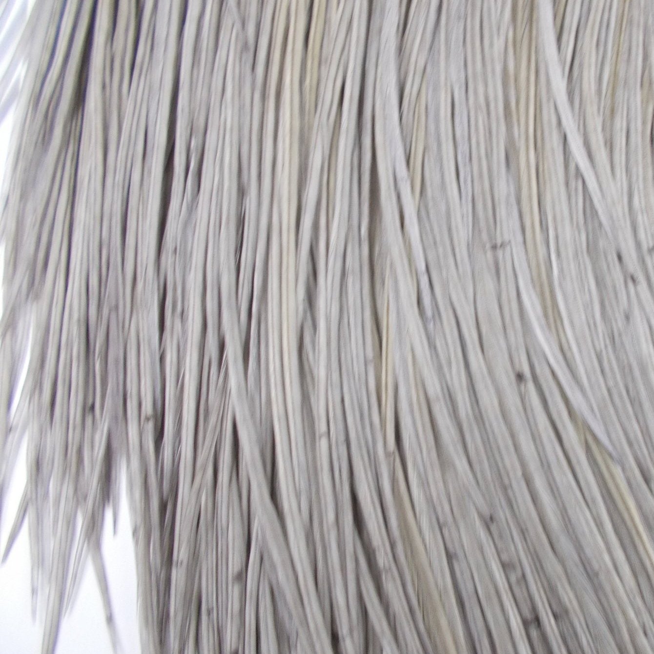 Whiting Pro Grade Dry Fly Saddle Medium Dun Australia 