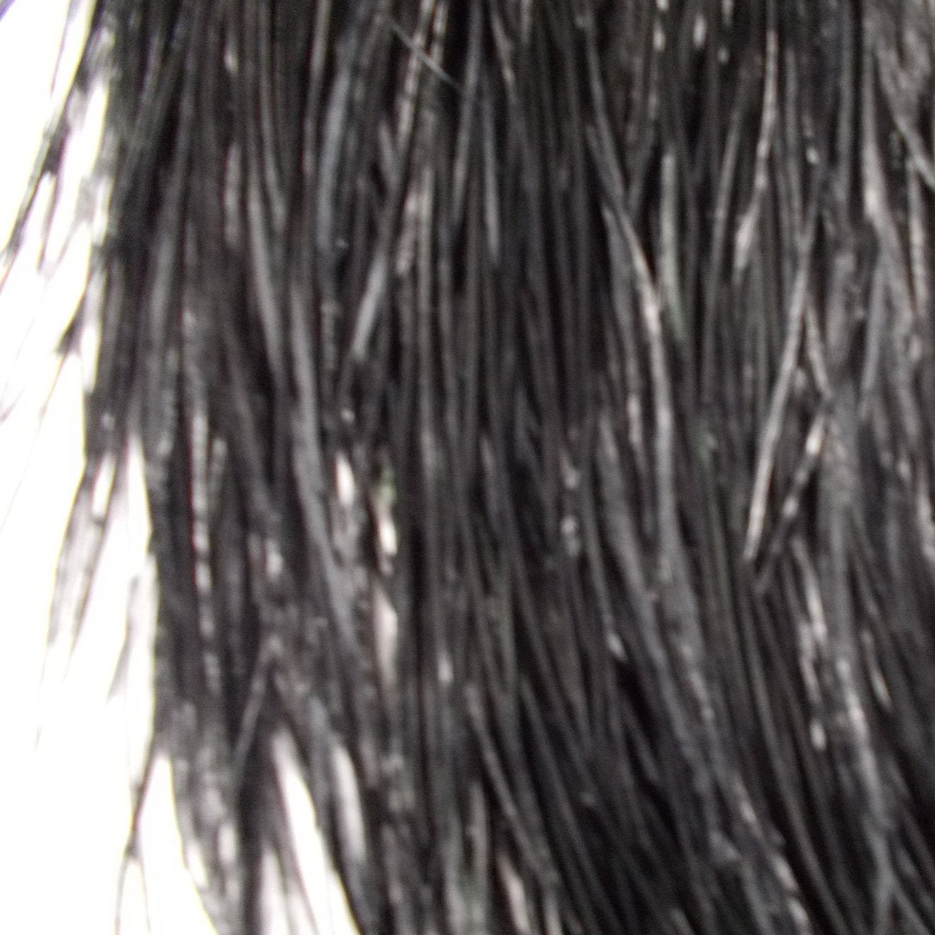 Whiting Pro Grade Dry Fly Saddle Black Australia 