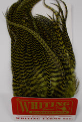 Whiting Woolly Bugger Hackle Pack