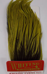 Whiting Woolly Bugger Hackle Pack