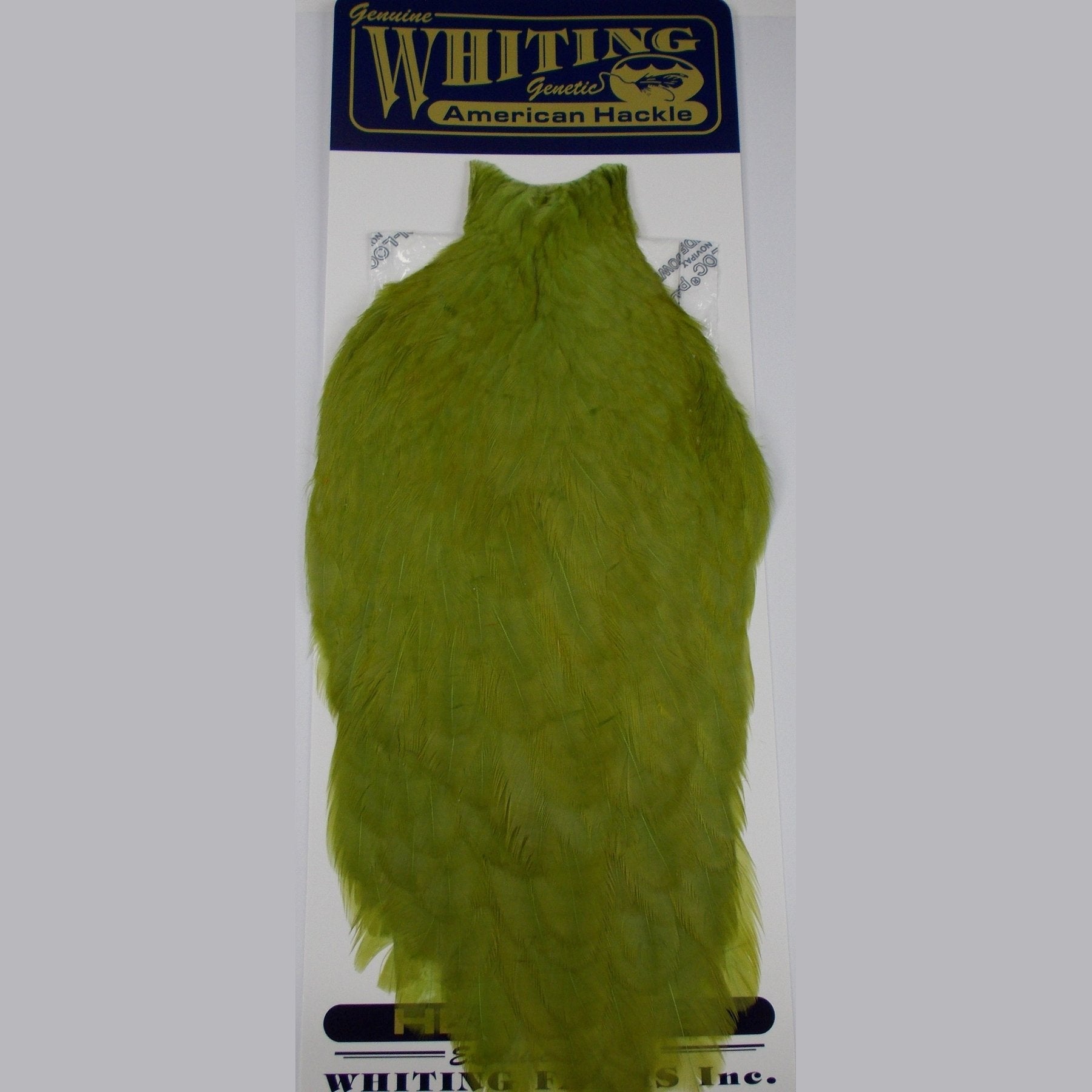 Whiting American Hen Cape Olive Tasmania Australia