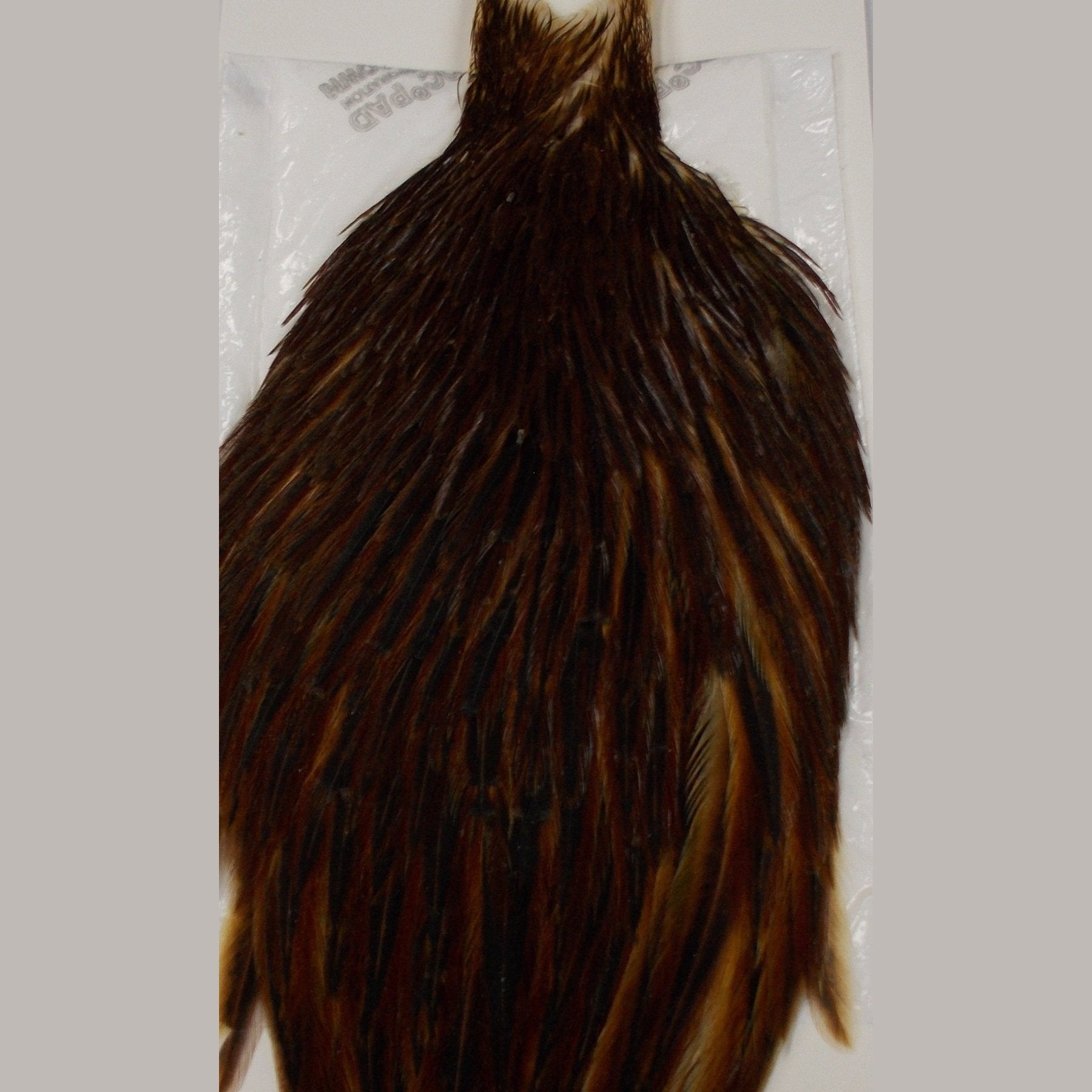 Whiting Hen Hackle Cape Brown Australia 