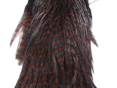 Whiting Hen Hackle Cape Grizzly coachman brown Australia 