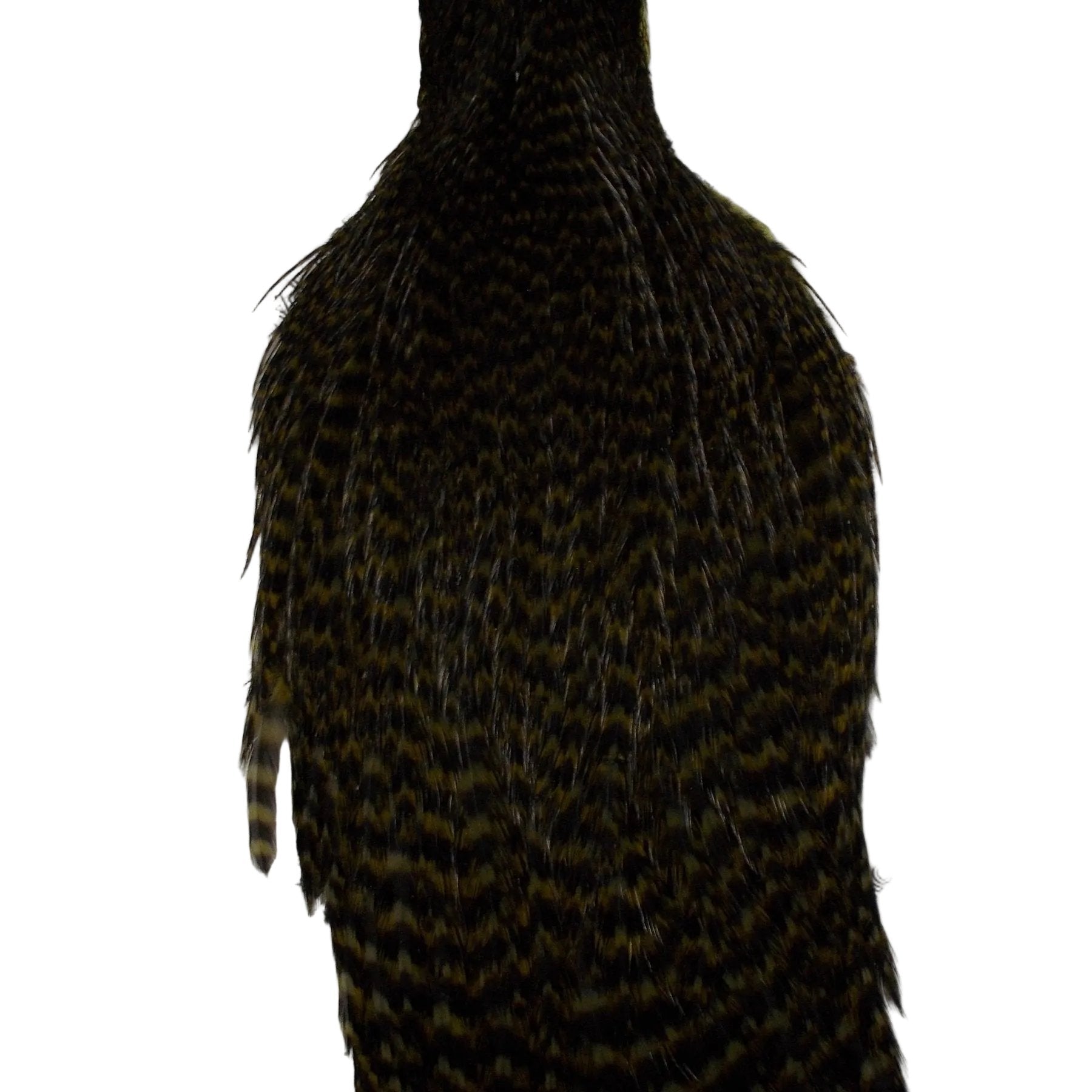 Whiting Hen Hackle Cape Dyed Grizzle dark Olive Australia 