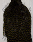Whiting Hen Hackle Cape Dyed Grizzle dark Olive Australia 