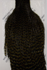 Whiting Hen Hackle Cape Dyed Grizzle dark Olive Australia 
